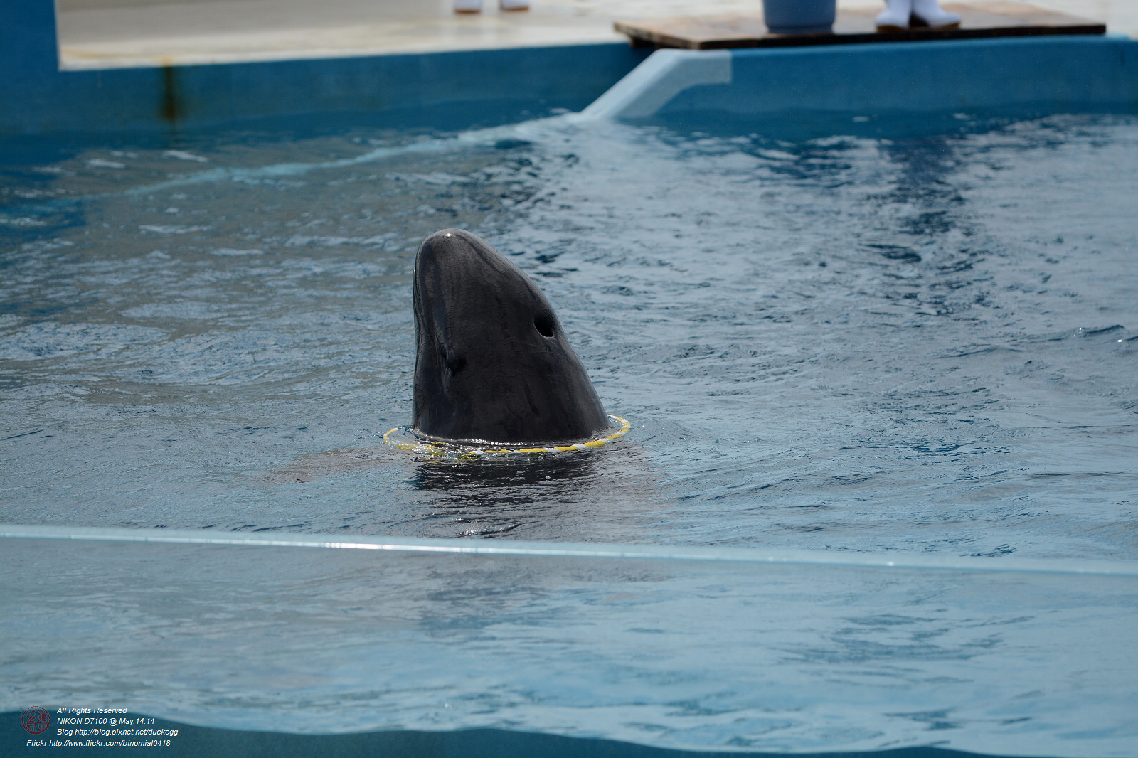 DSC_3048.jpg